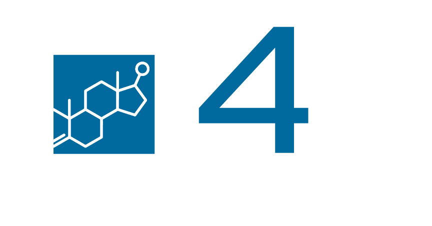 T4L Education